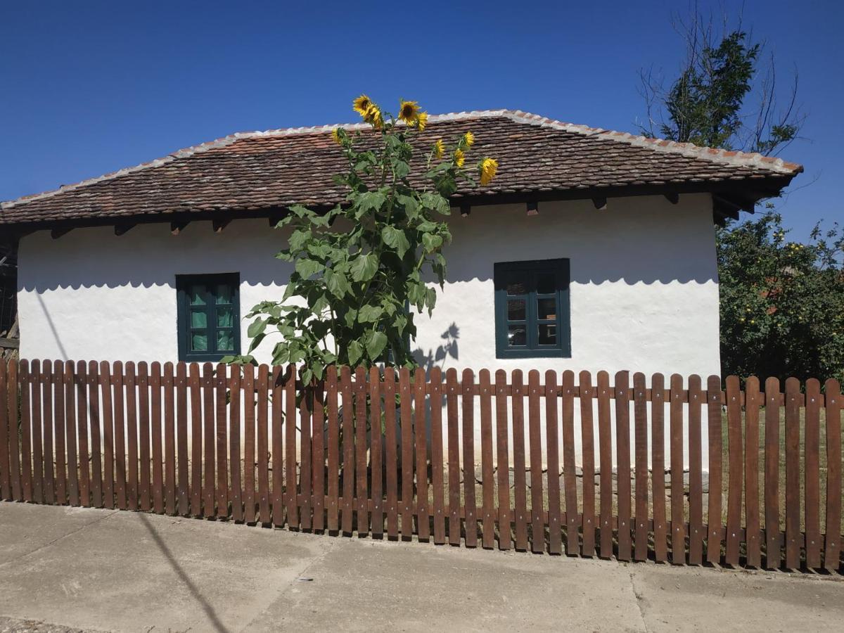 Stara Kovacnica Villa Galambóc Kültér fotó