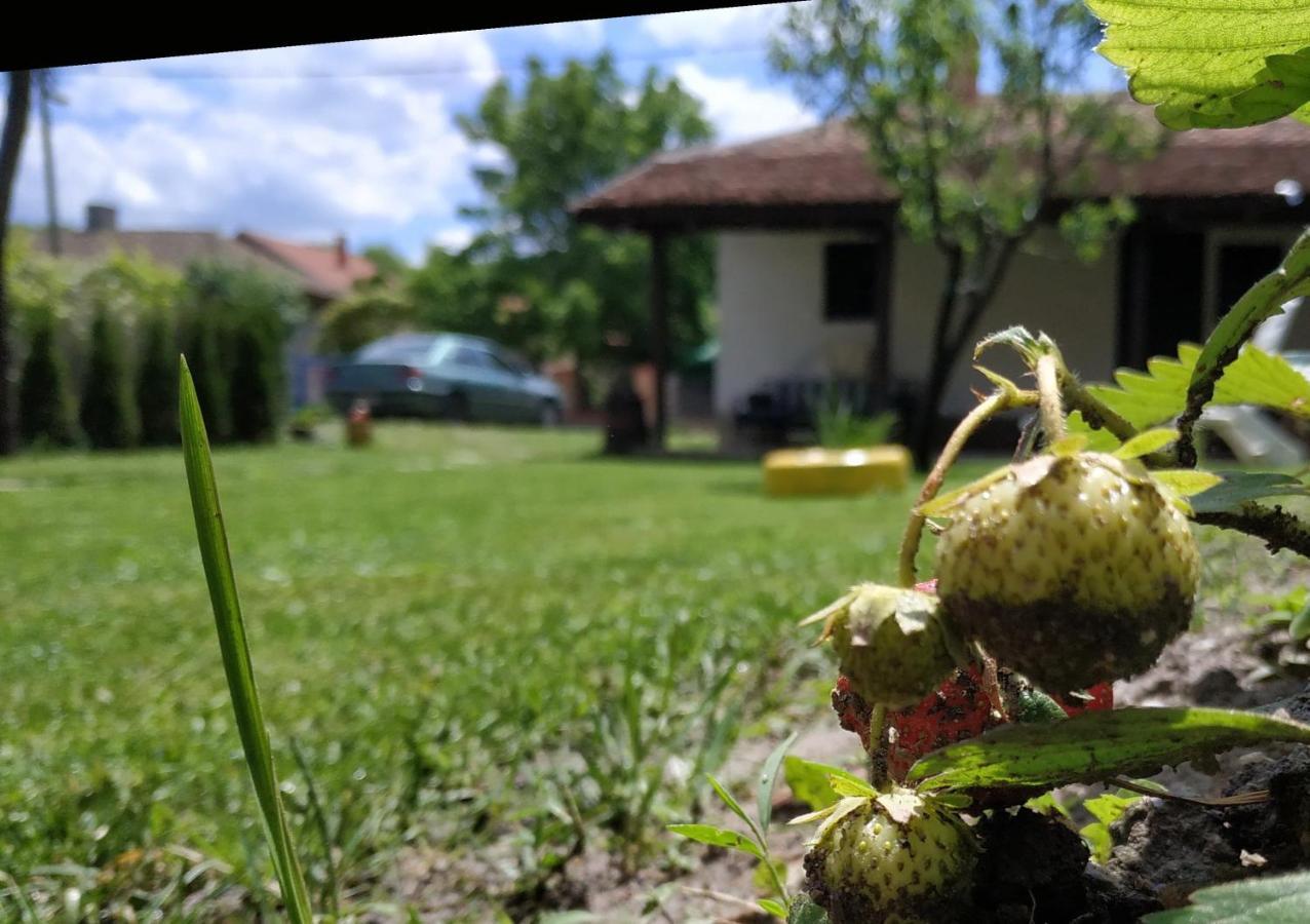 Stara Kovacnica Villa Galambóc Kültér fotó